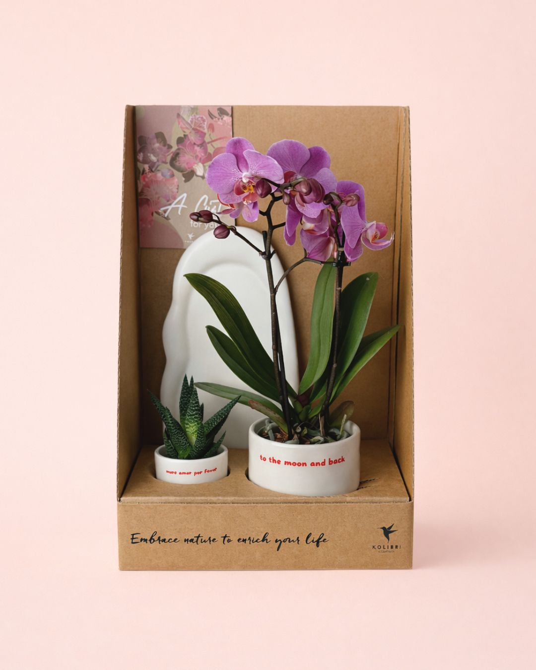 2-To the moon and back-caja