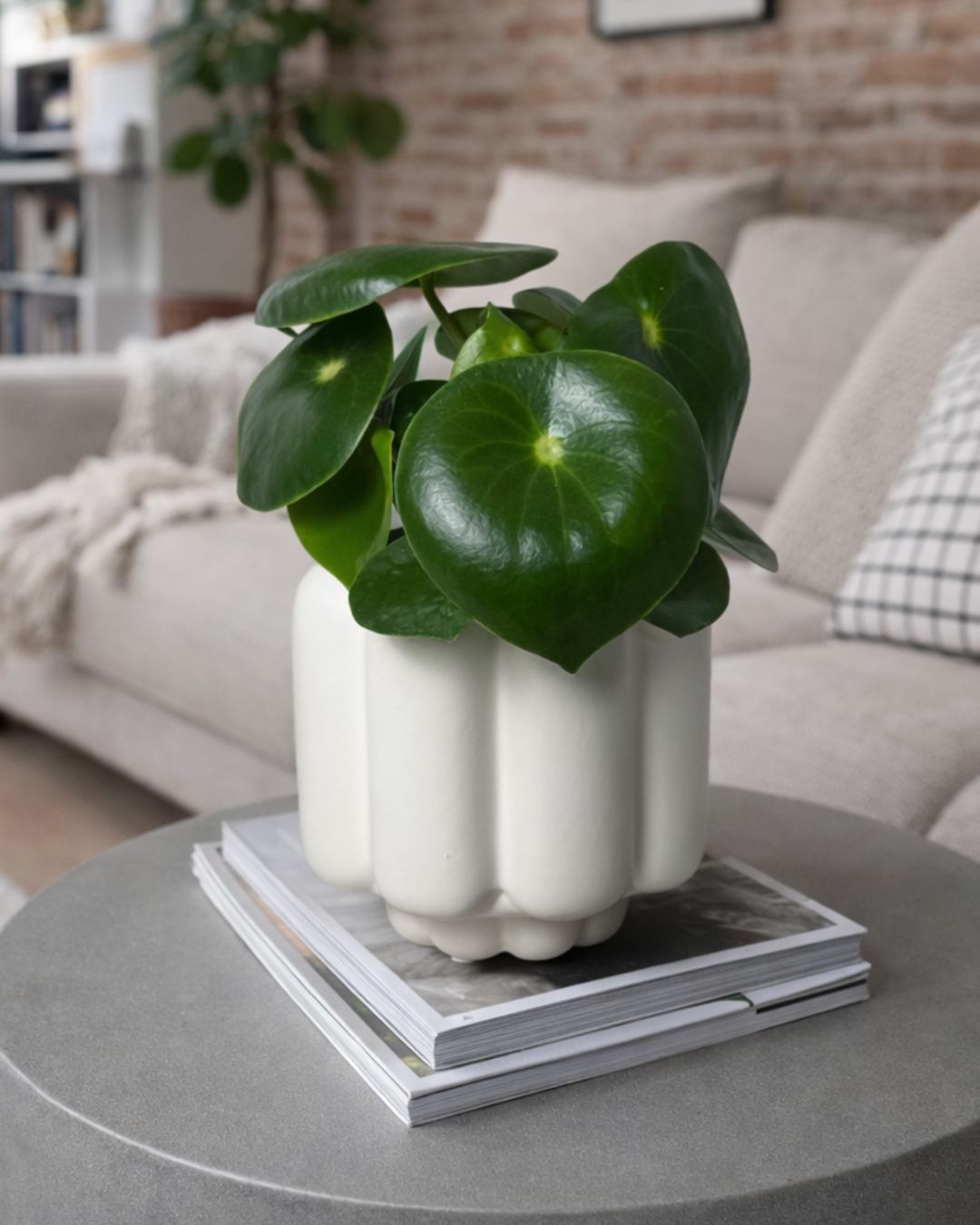 Retro-blanca-contexto