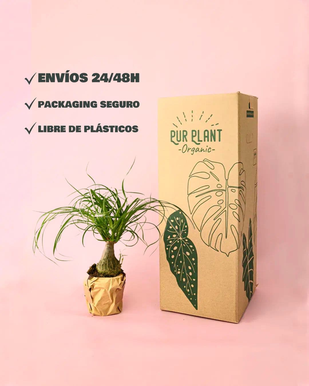 envios pata de elefante packaging