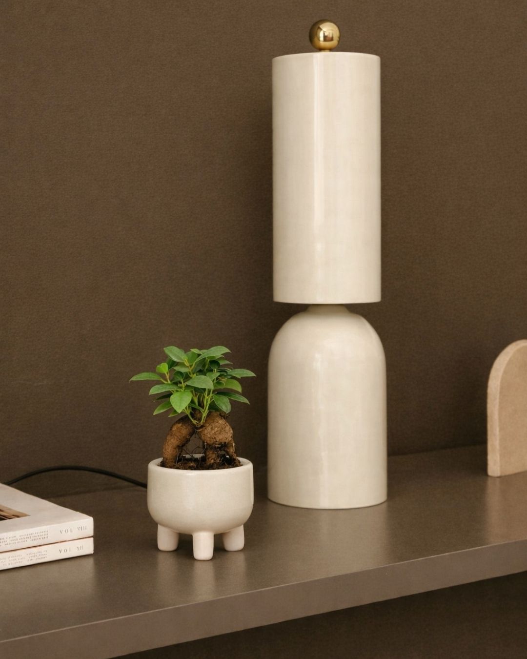 ficus microcarpa potit