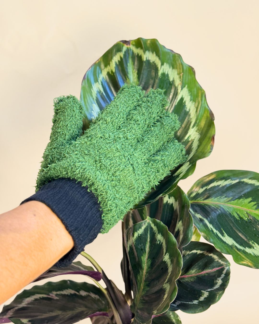 guantes limpiar hojas detalle