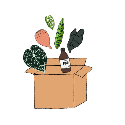 ENVÍOS RÁPIDOS Y SEGUROS