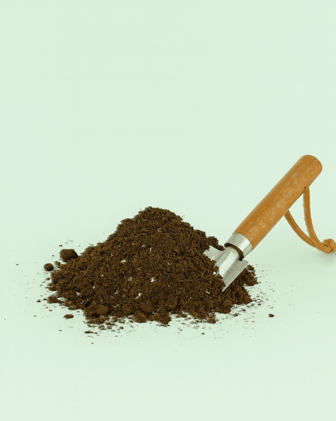 sustrato organico monsteras granel