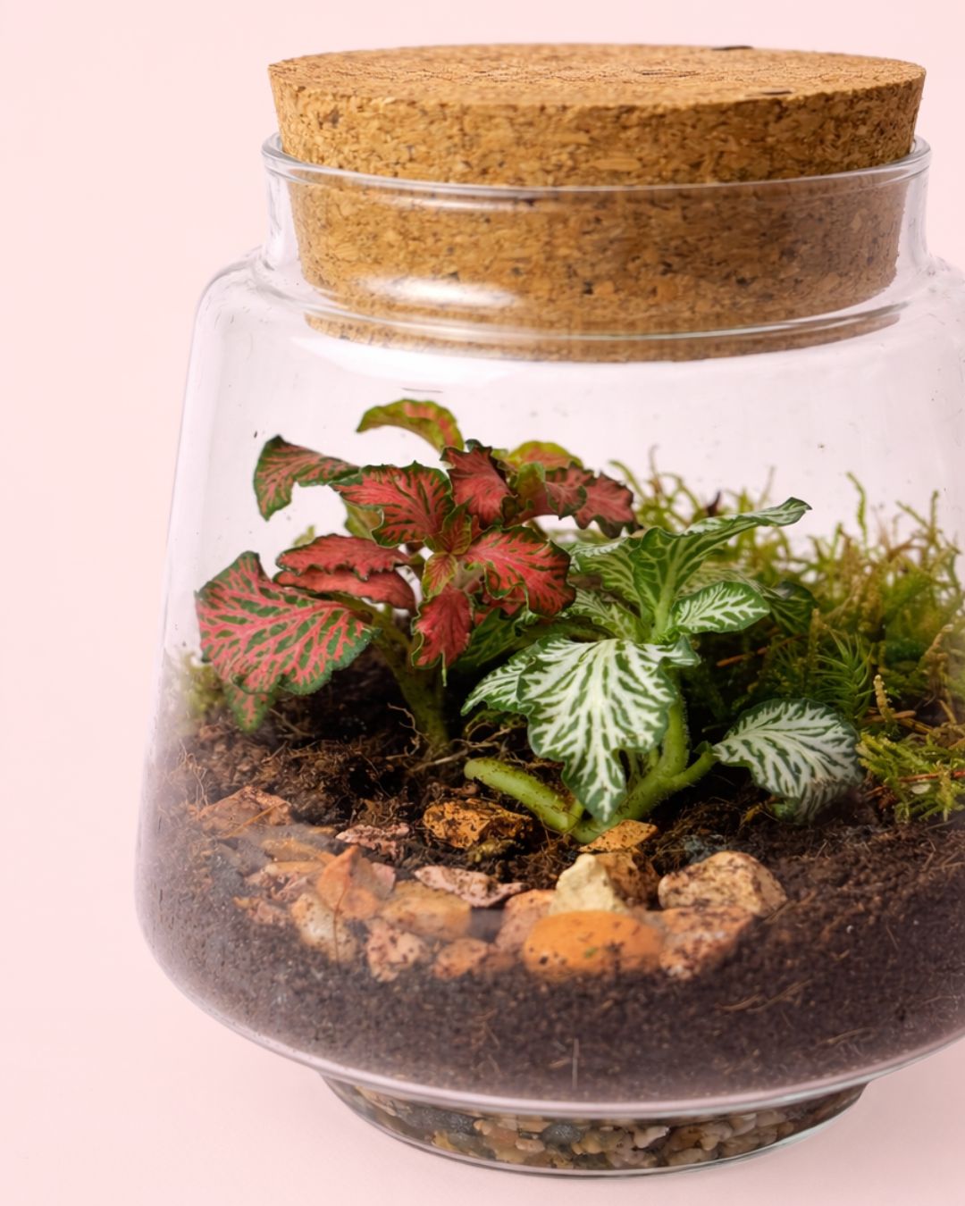 terrario-light-detalle