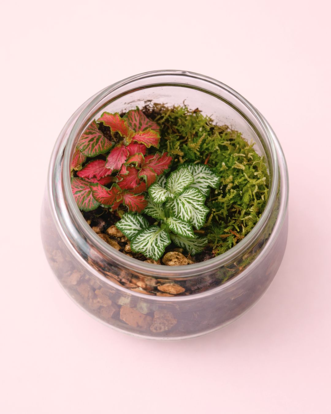 terrario-light-interior