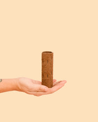 Conector para tutores