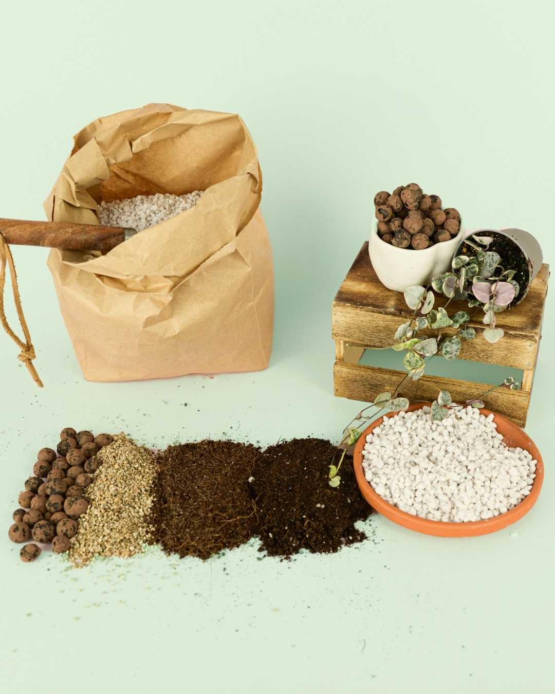 Ingredientes del Sustrato o Componentes del Sustrato