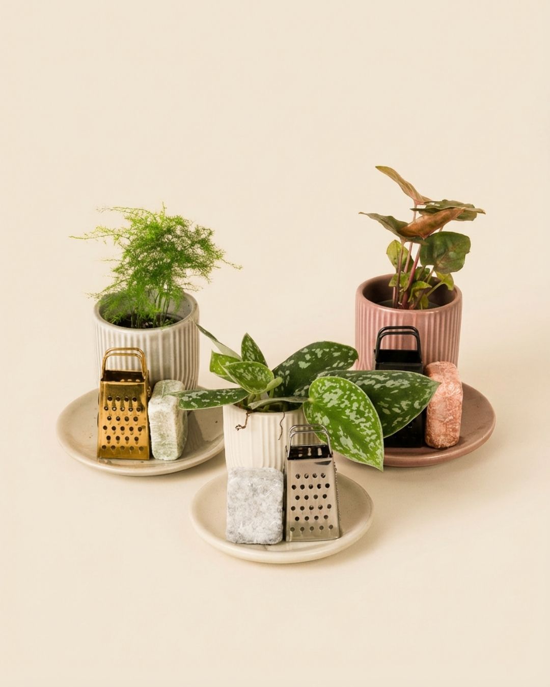 Ambientadores Sólidos Naturales