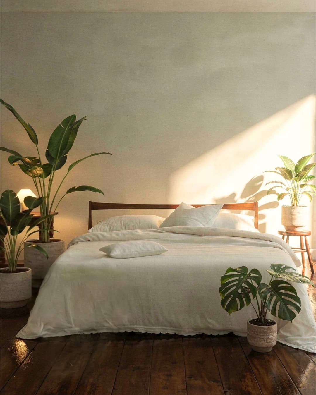 Plantas para el Dormitorio