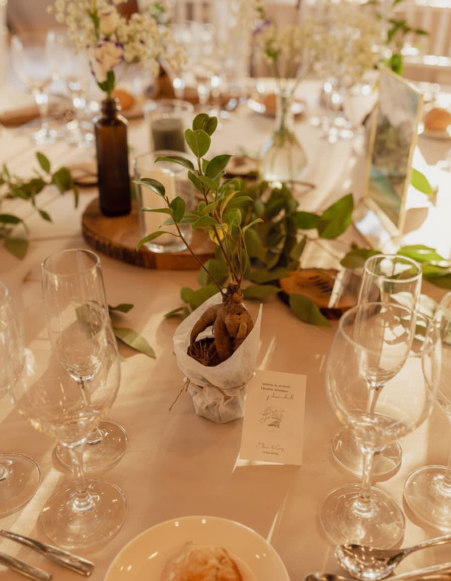 Plantas para Regalo en Bodas