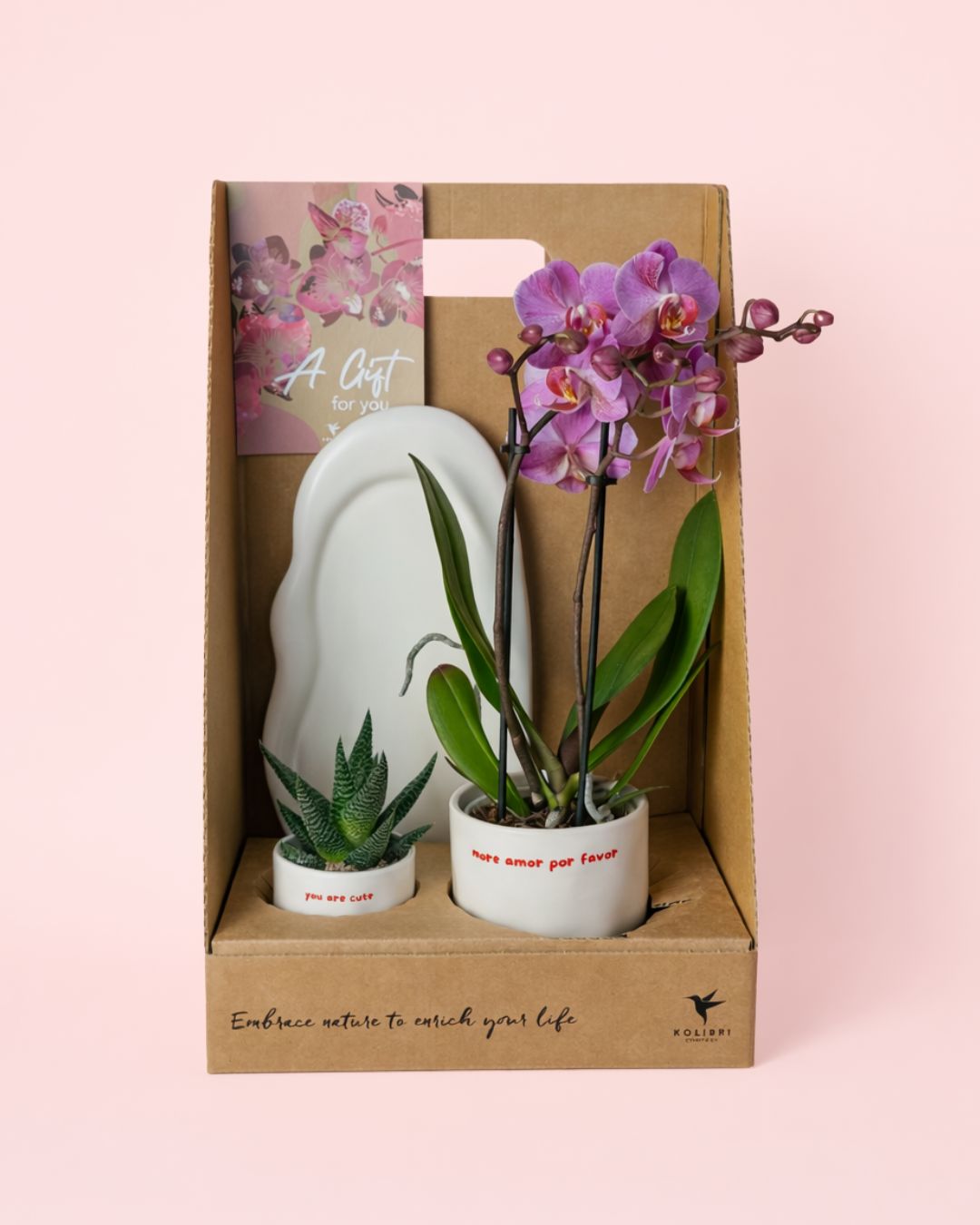 4-More amor por favor-caja