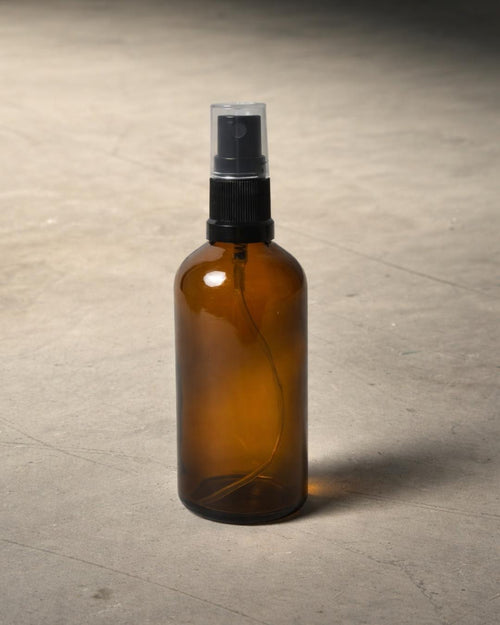 Gift Set Lumen – Pilea Peperomioides