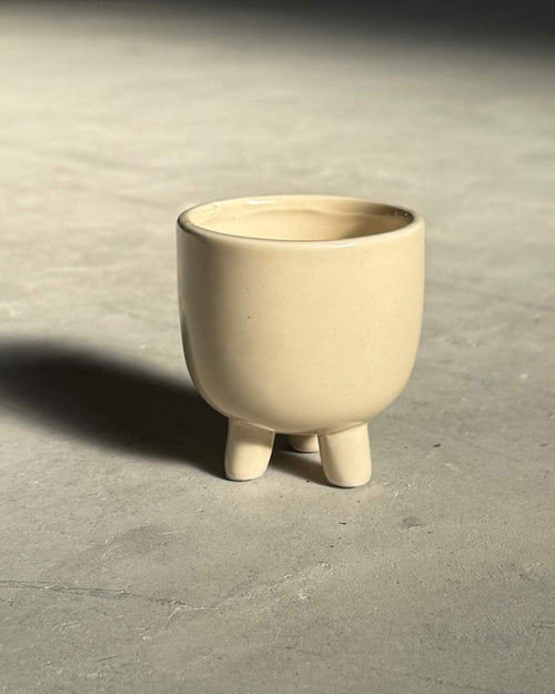 Gift Set Nido – Peperomia Prostrata