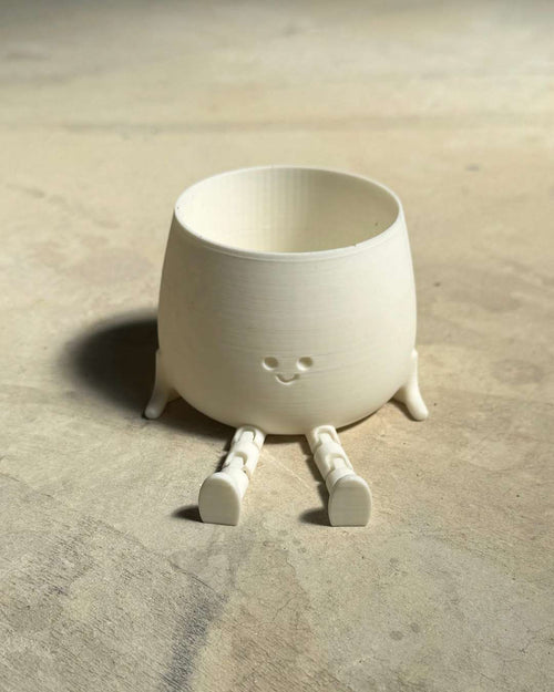 Gift Set Halo – Ceropegia Woodii