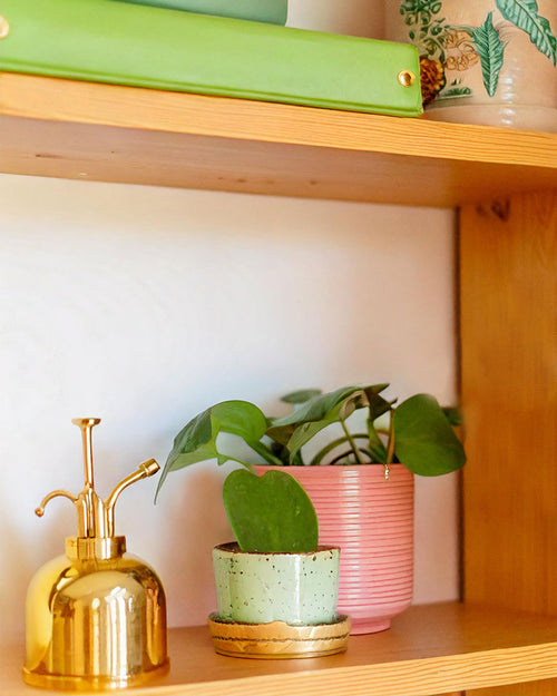 hoyakerrii-estanteria