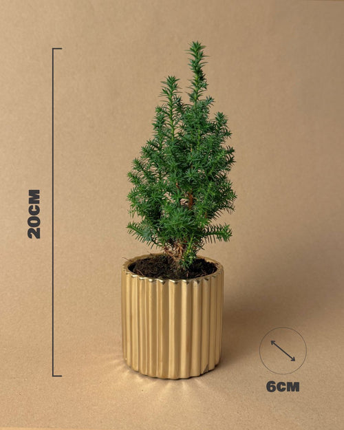 mini arbol de navidad medidas