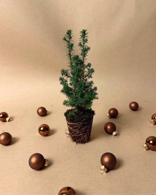 mini arbol navidad sin maceta bolas