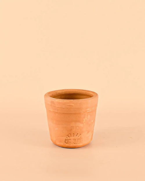 mini-maceta-artesanal-purplant