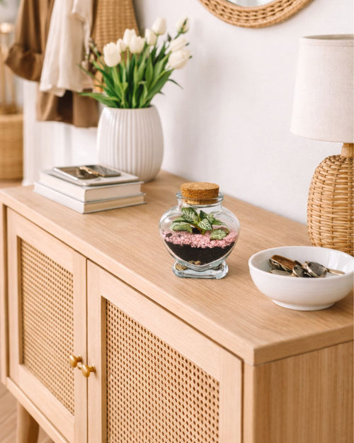 mini terrario pink love contexto