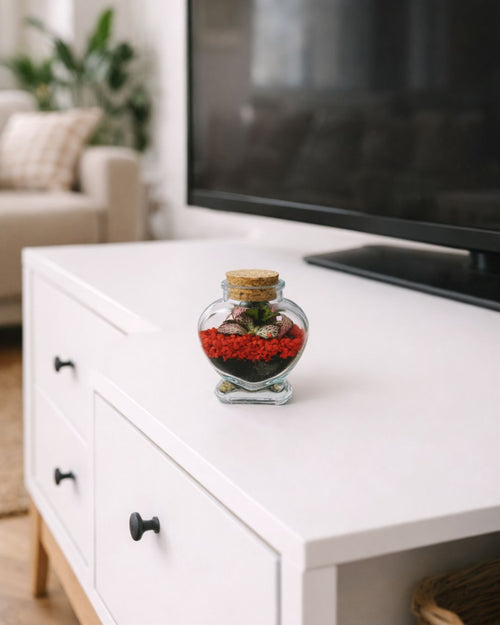 mini terrario red love contexto