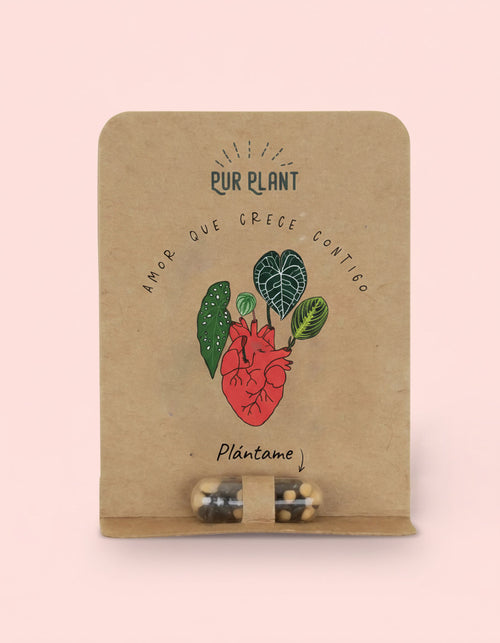 plant pill capsulea semillas flores silvestres