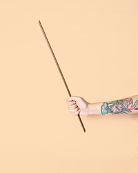 Stick Tutor Biodegradable 50 cm