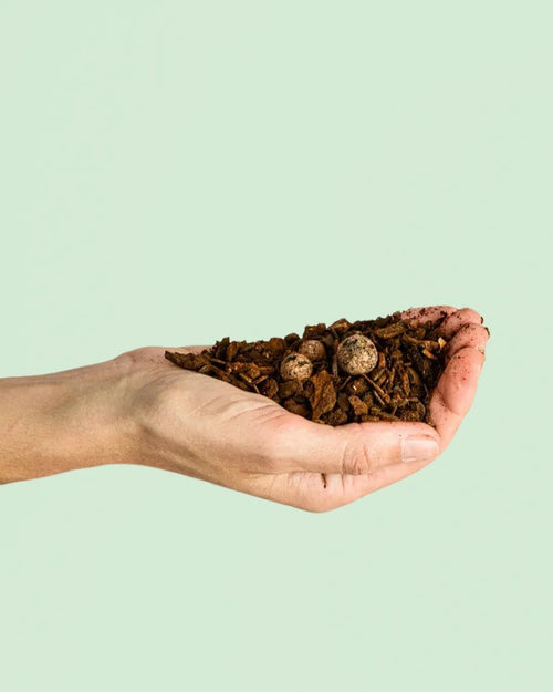 sustrato organico orquideas