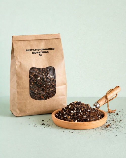 sustrato organico para monsteras