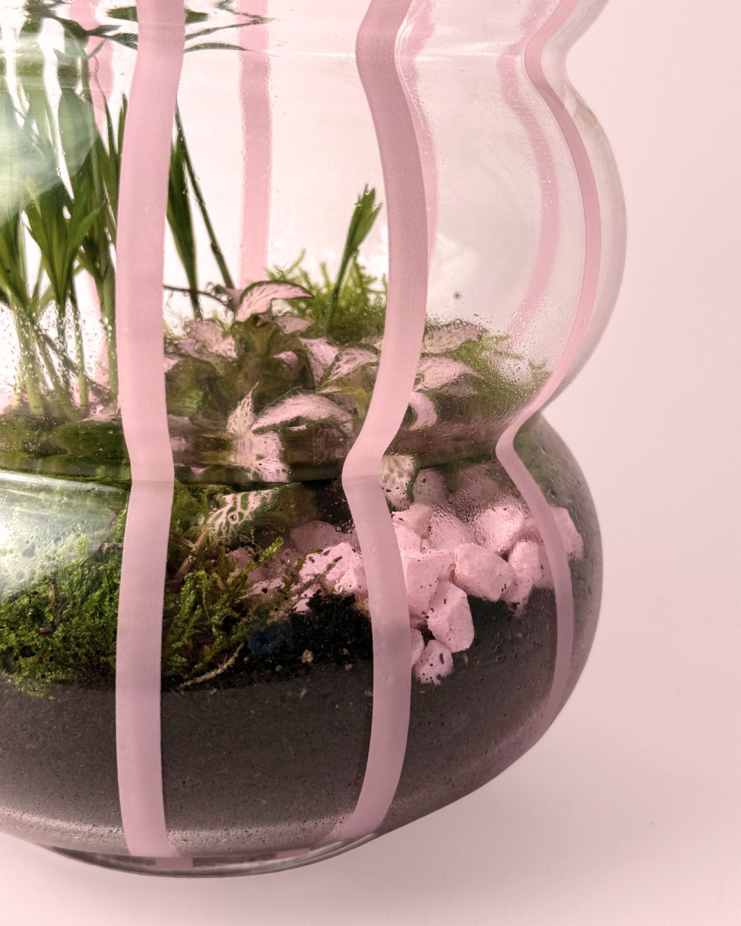 terrario pop detalle