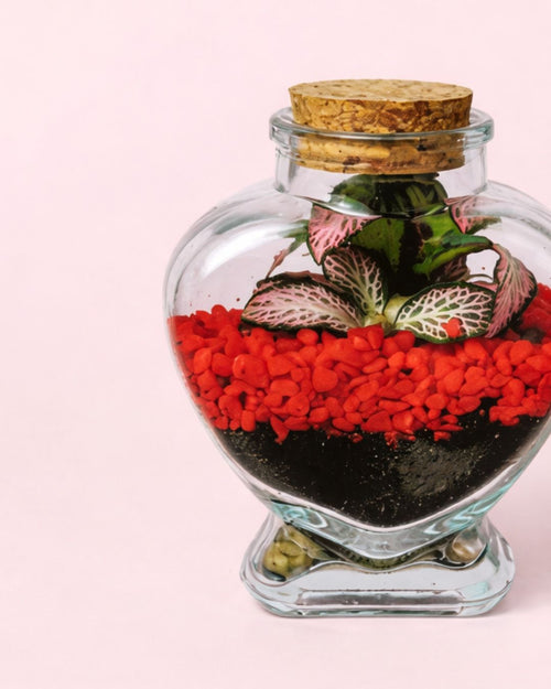 terrario red love detalle