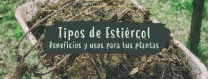 tipos-de-estiercol