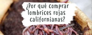 comprar-lombrices-rojas-californianas