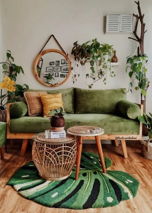 5 plantas de interior de tendencia y decorativas