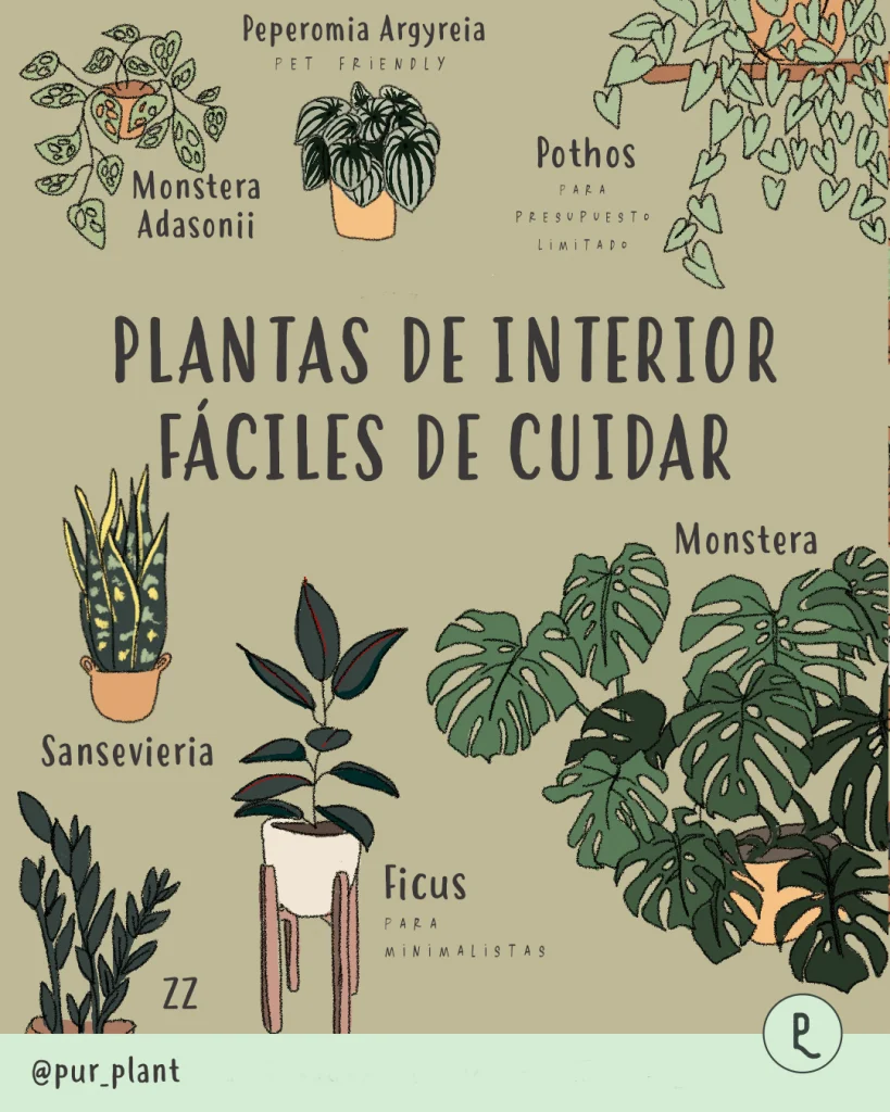 Baños con plantas medicinales – Botanical-online