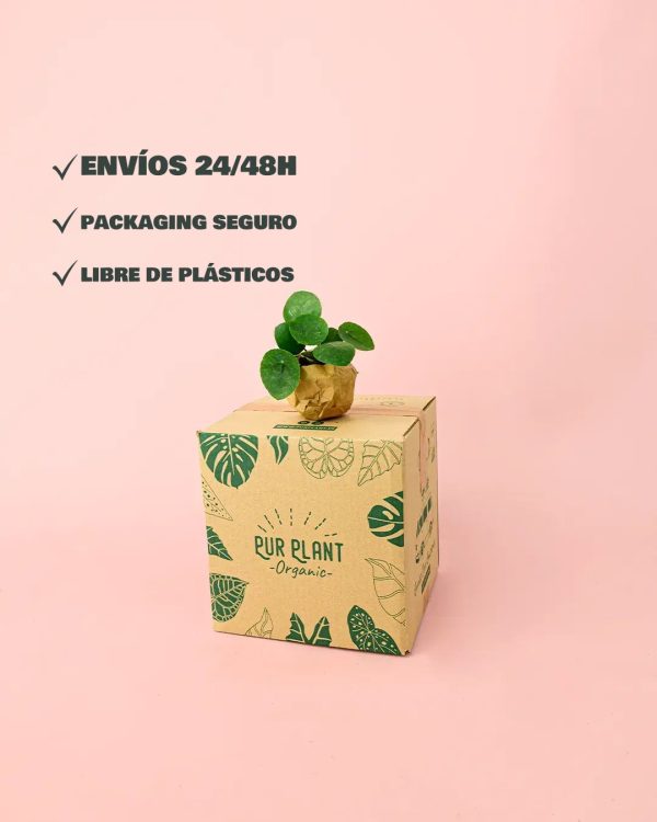 envios-seguros