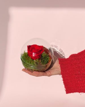 Enviar cuadro de flores y rosas preservadas a domicilio en Madrid