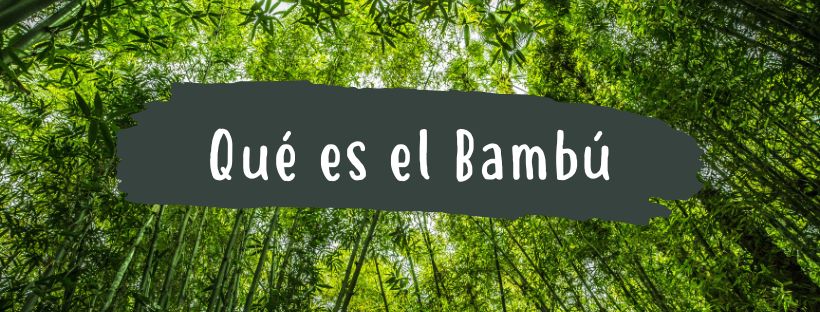 que-es-el-bambu