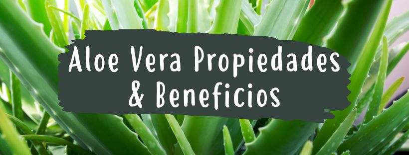 aloe vera propiedades beneficios