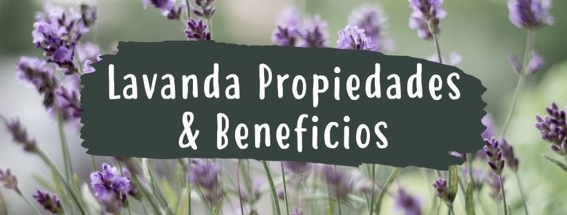 lavanda propiedades beneficios