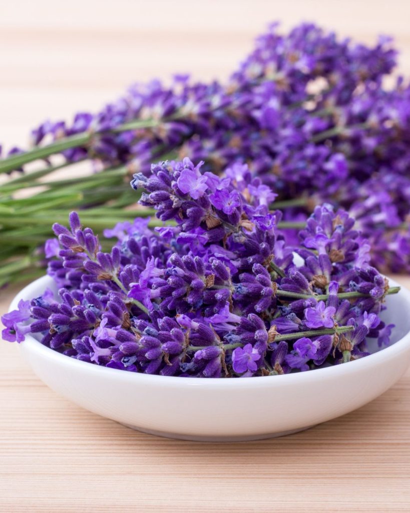 propiedades lavanda