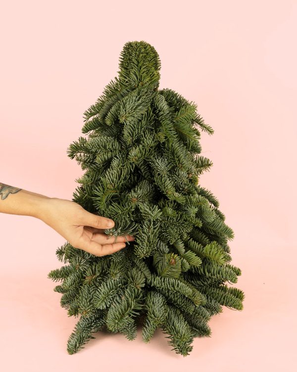 arbol-natural-navidad-abeto-mano