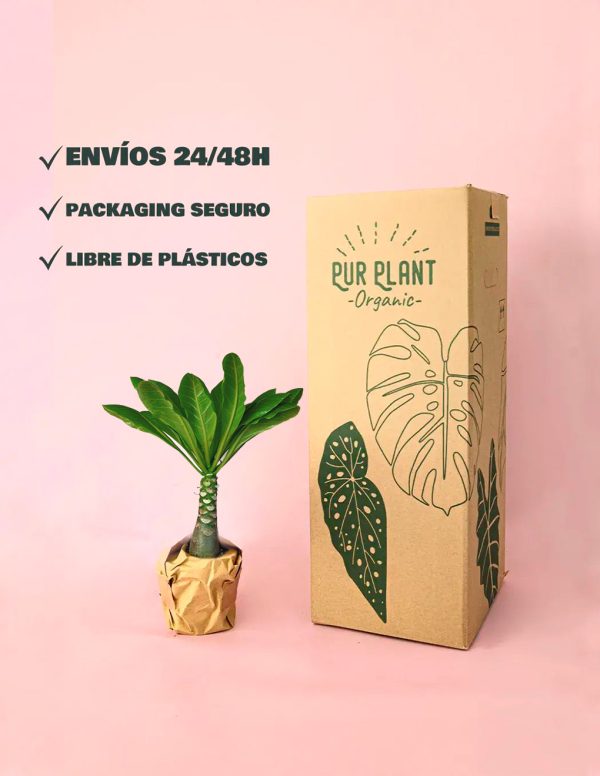 palmemra-hawaiana-packaging-envio