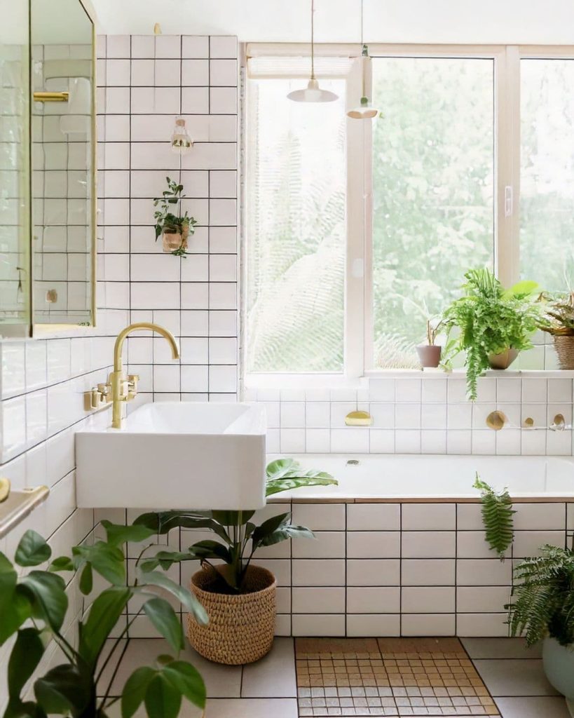 plantas para el baño